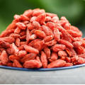 2018 China toda la baya de goji orgánica natural secada